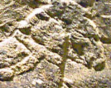 Metz Grave Relief, 2nd Century(?)